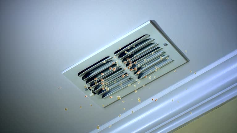 Best Affordable Air Duct Cleaning  in Evansville, IN