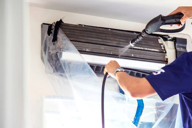 Best Air Duct Sanitizing Services  in Evansville, IN