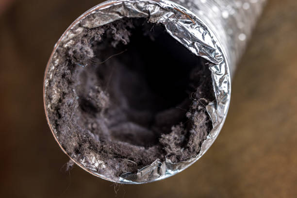 Best General Air Duct Cleaning  in Evansville, IN