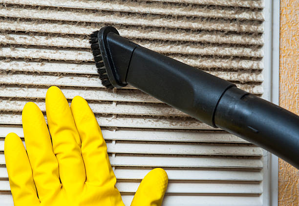 Best Residential Air Duct Cleaning  in Evansville, IN